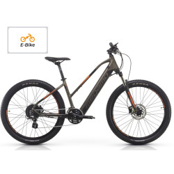 BICICLETA ALQUILER ELECTRICA