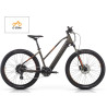 BICICLETA ALQUILER ELECTRICA