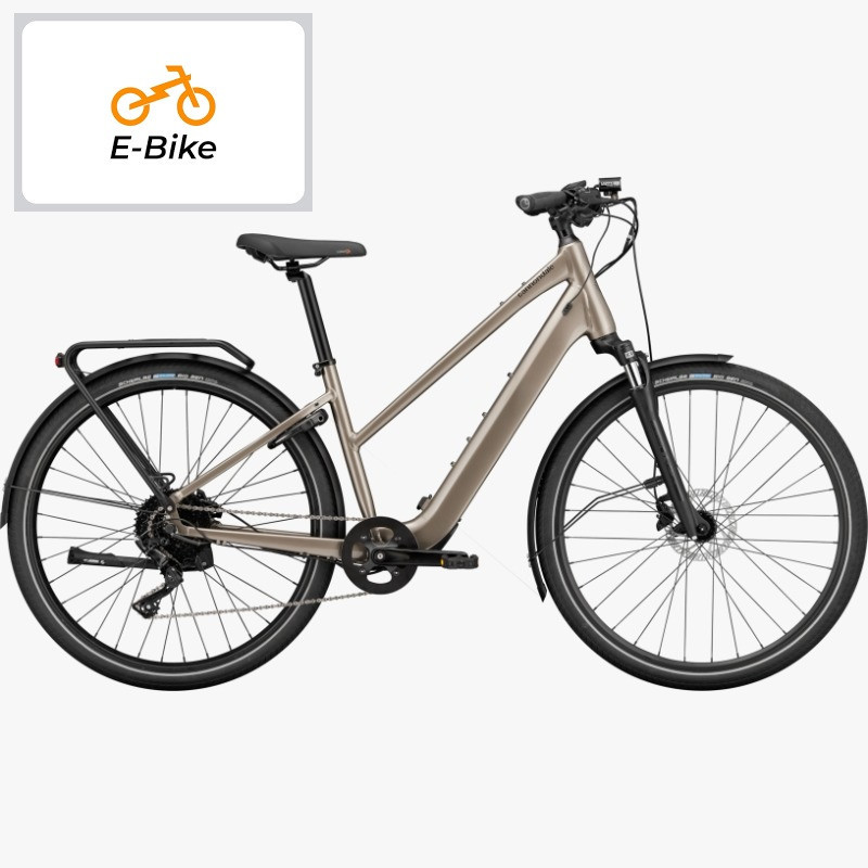 BICICLETA ALQUILER ELECTRICA URBANA